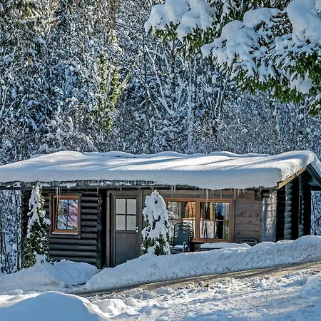 Chalet In Woergl Near Lift Hopfgarten im Brixental